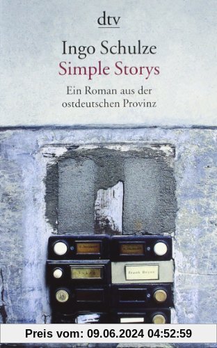 Simple Storys: Ein Roman aus der ostdeutschen Provinz (DTV)